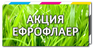 Заказать печать флаеров