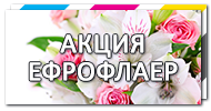 Заказать печать флаеров
